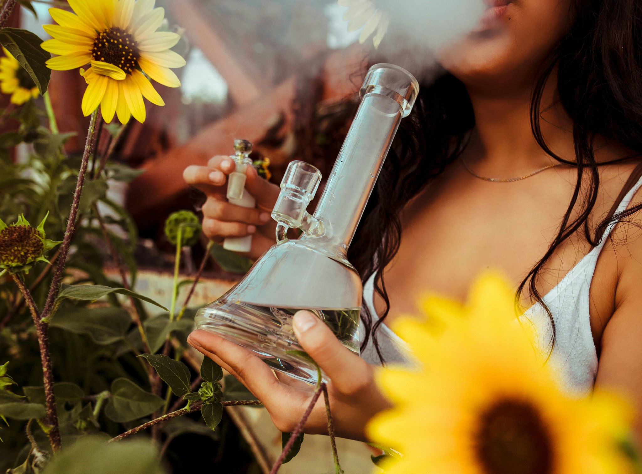 Reliable 24/7 Weed Delivery Halifax: Fast and Convenient Cannabis at Your Doorstep